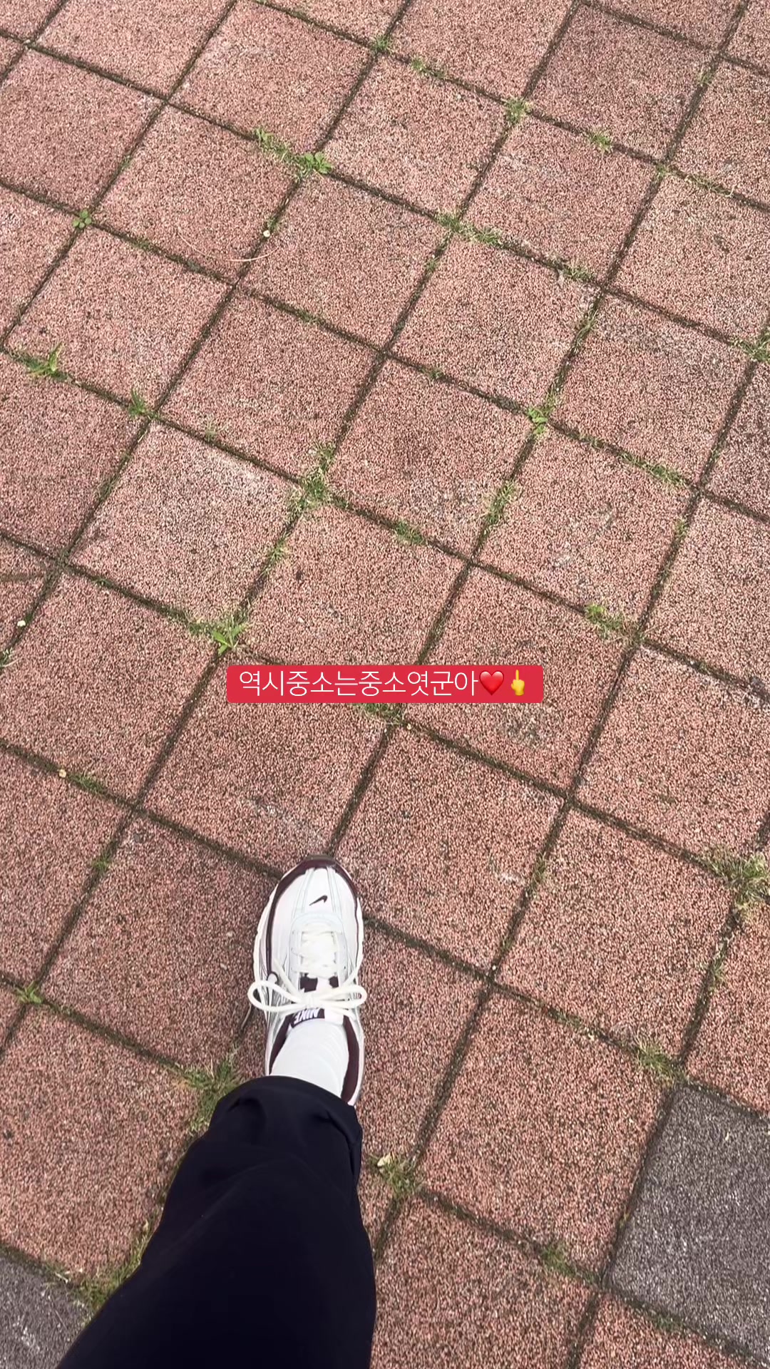 @얼음정수기