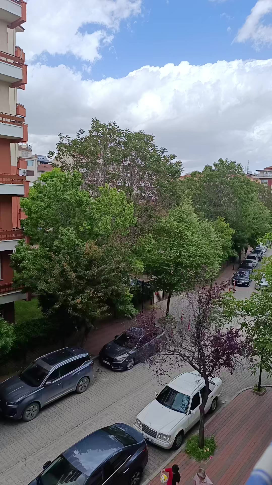 @Fatma Taşcıoglu