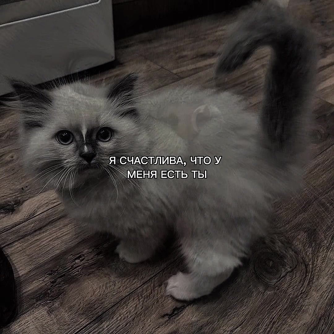 @ХХИКА