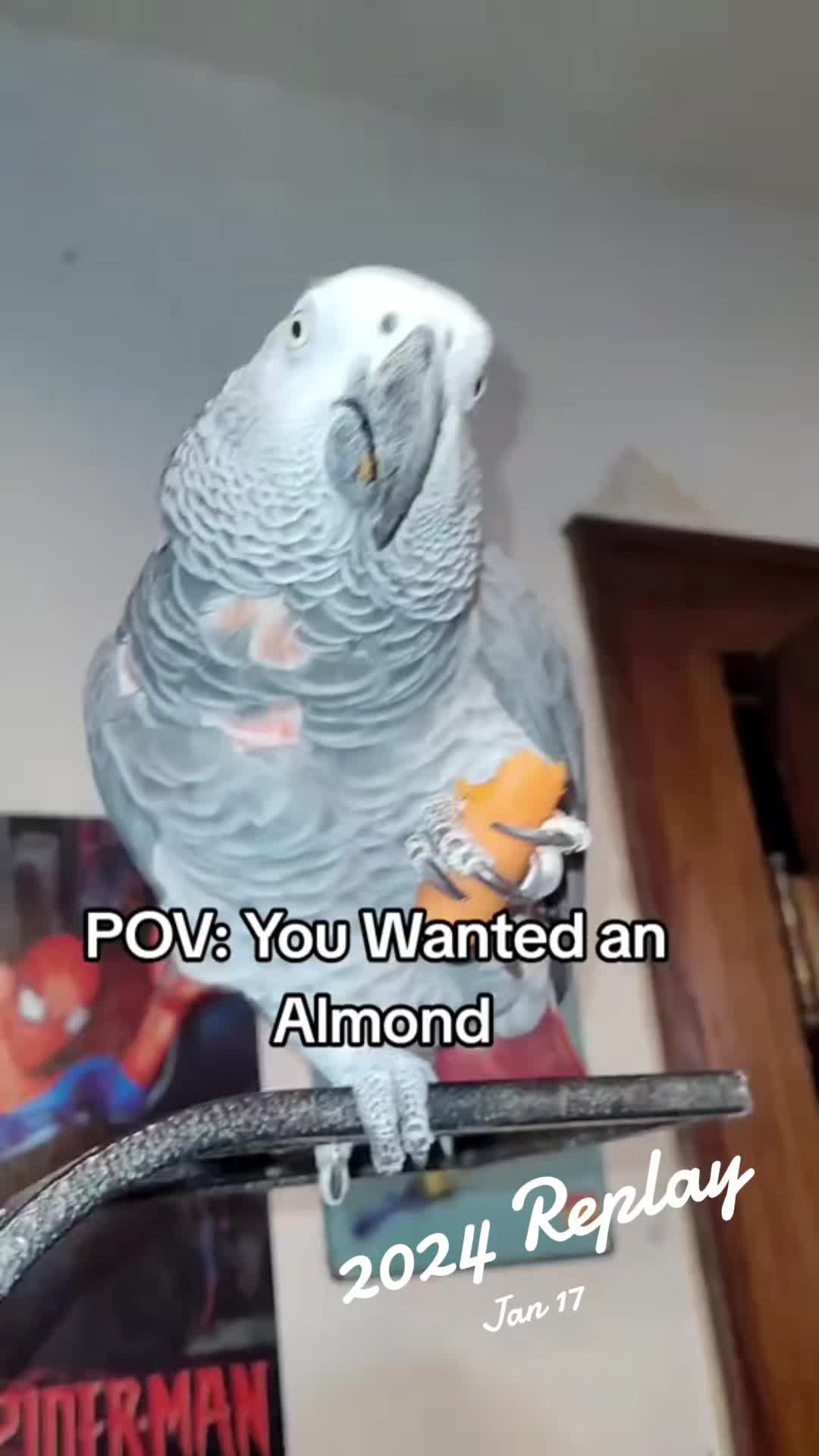 @QbertBird🦜👀