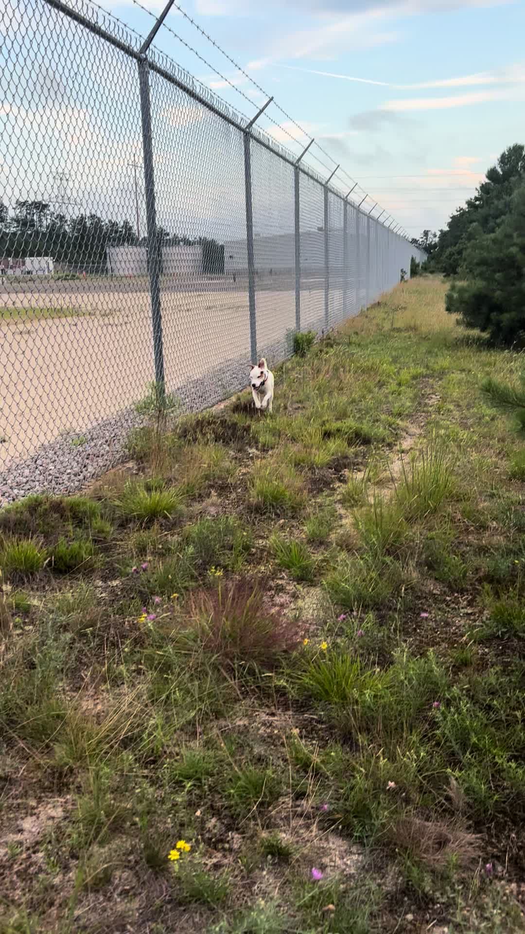 @K-9 Cleaner🐶