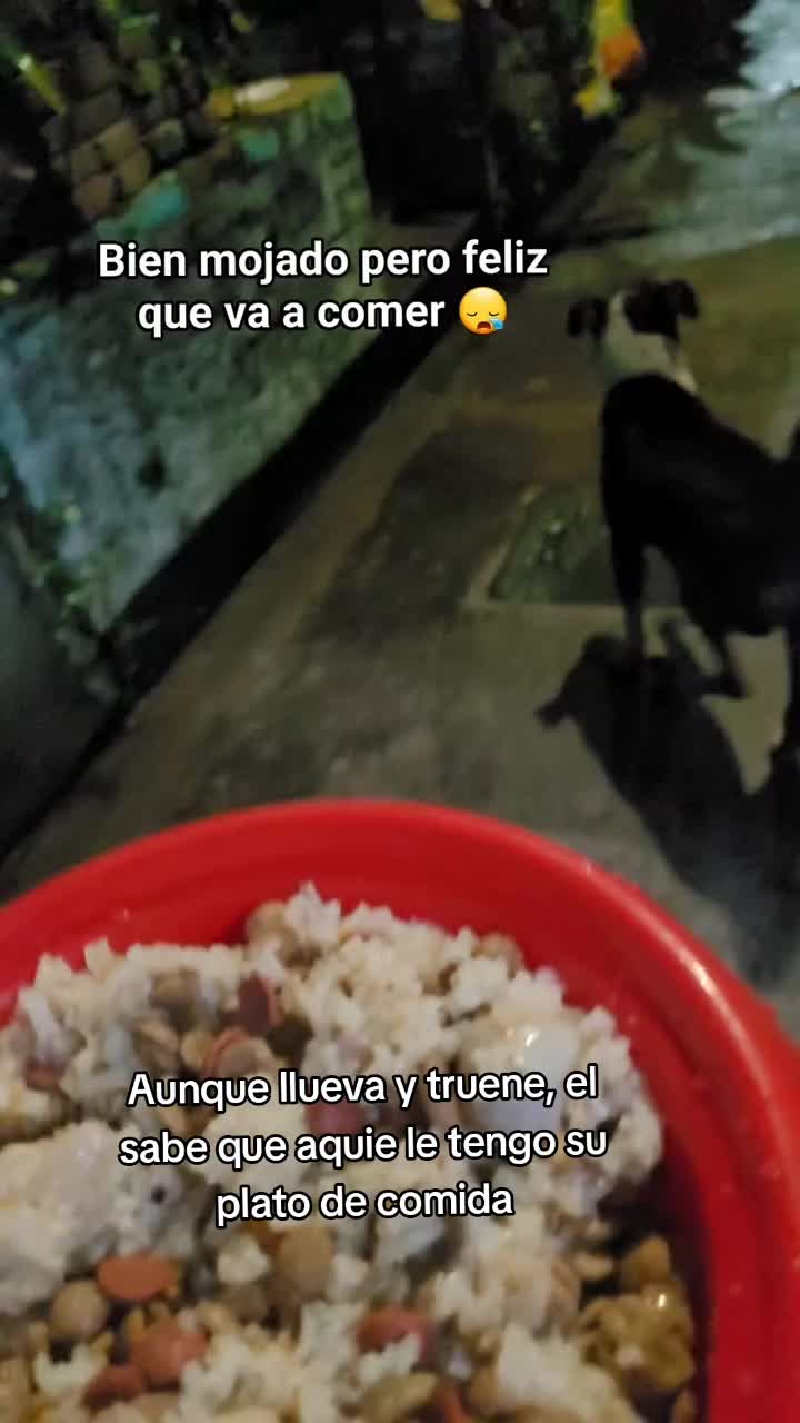 @𝕃𝕚𝕤𝕤 ℝ𝕖yes🇸🇻