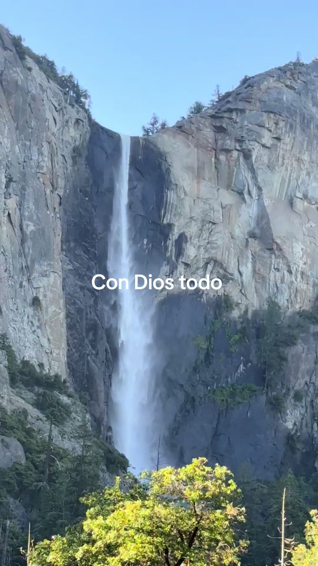 @Ana Abonce