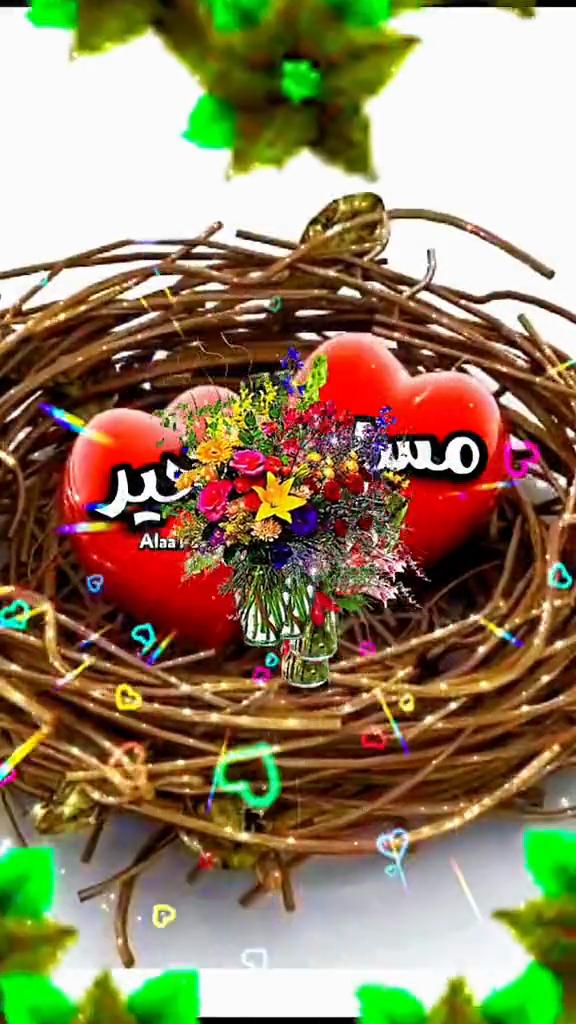 @Alaa Fatima