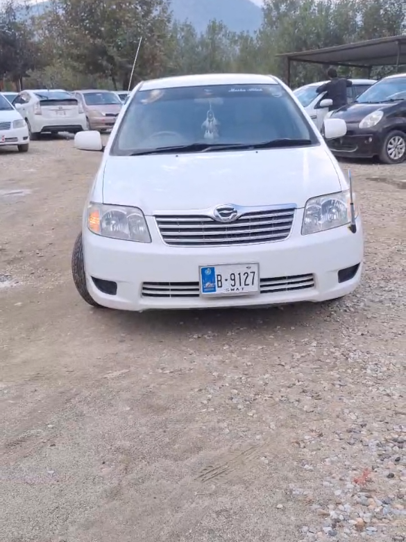 @ncpcarlover1