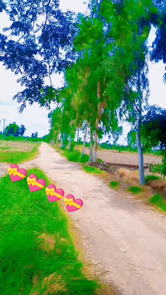 @Zaheer Abas