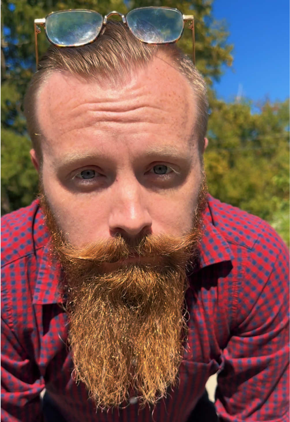 @theprotocorey