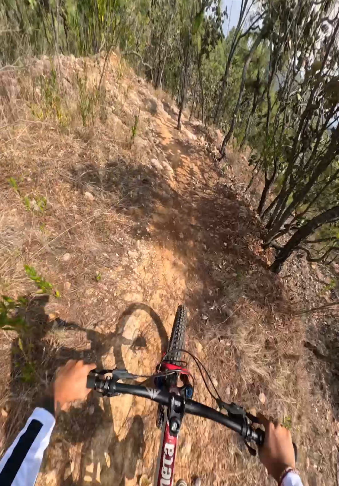@Sebas Sotelo 🚵🏽 📽️