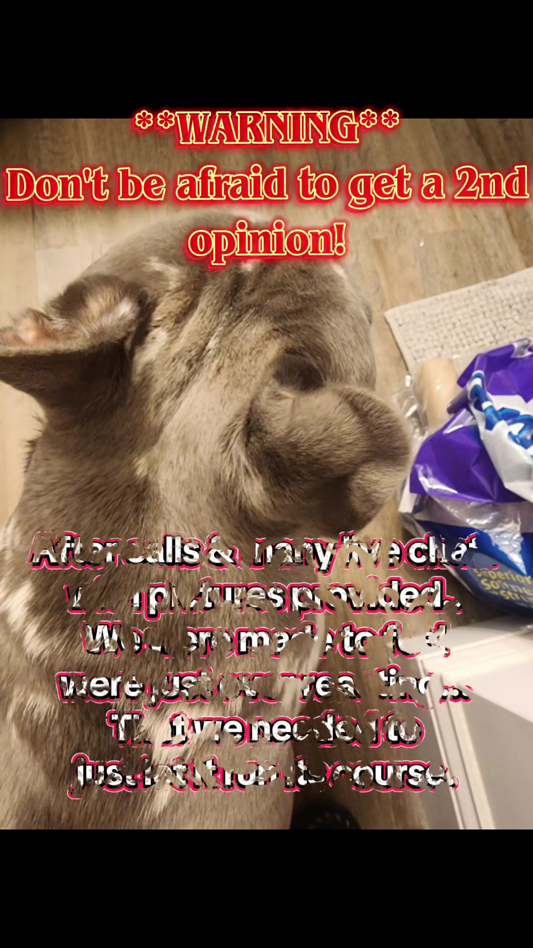 @Dexter207Frenchie