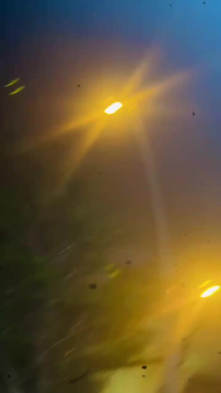 @محمد بلال🇸🇦