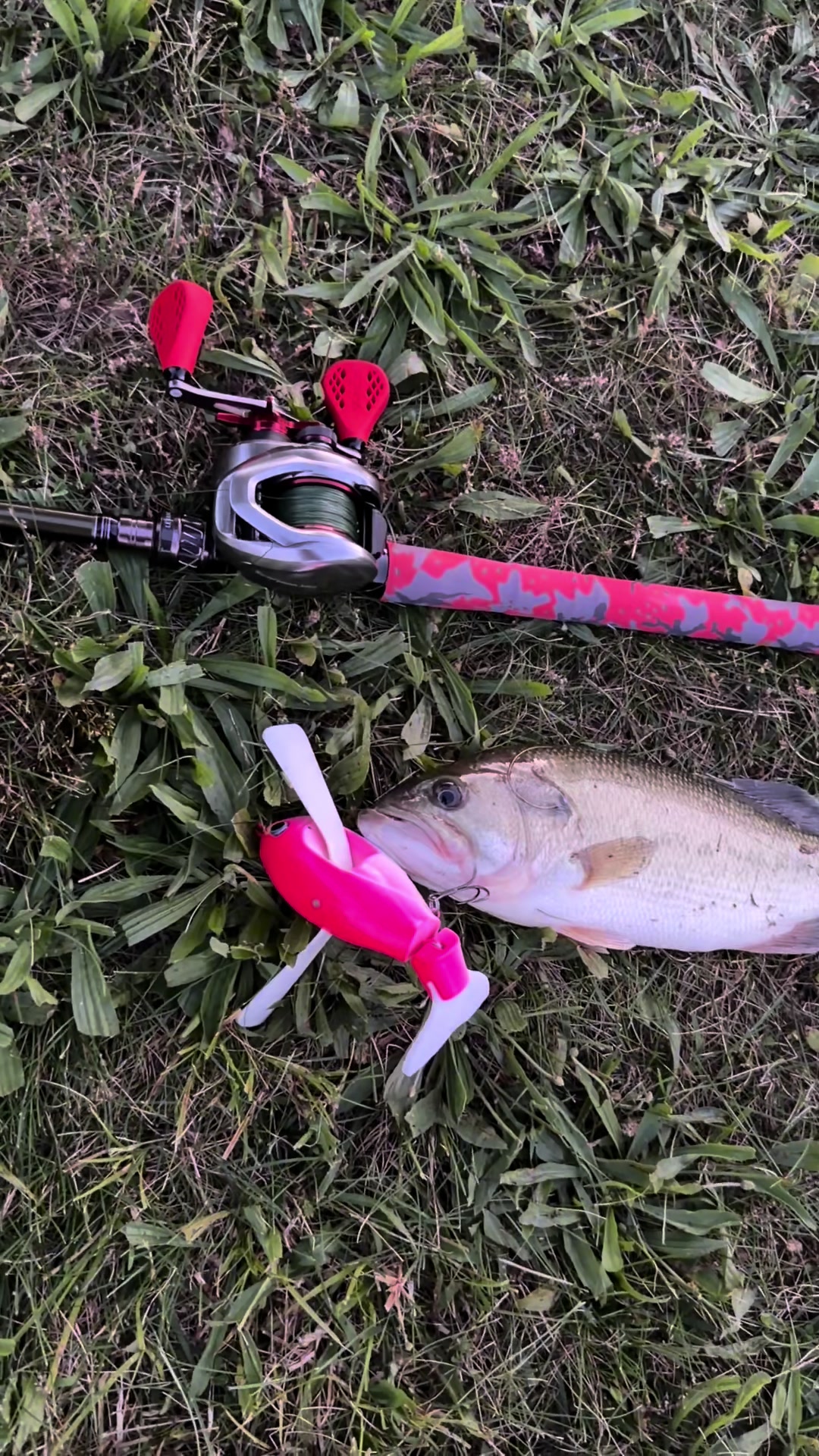 @Tacklehead Fishing