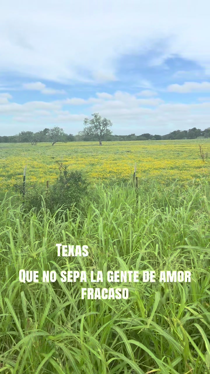 @Amada mía