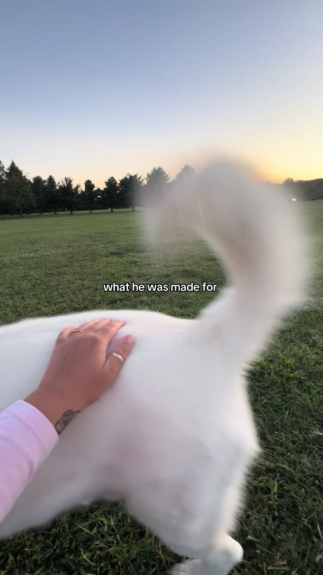 @Laura Marie