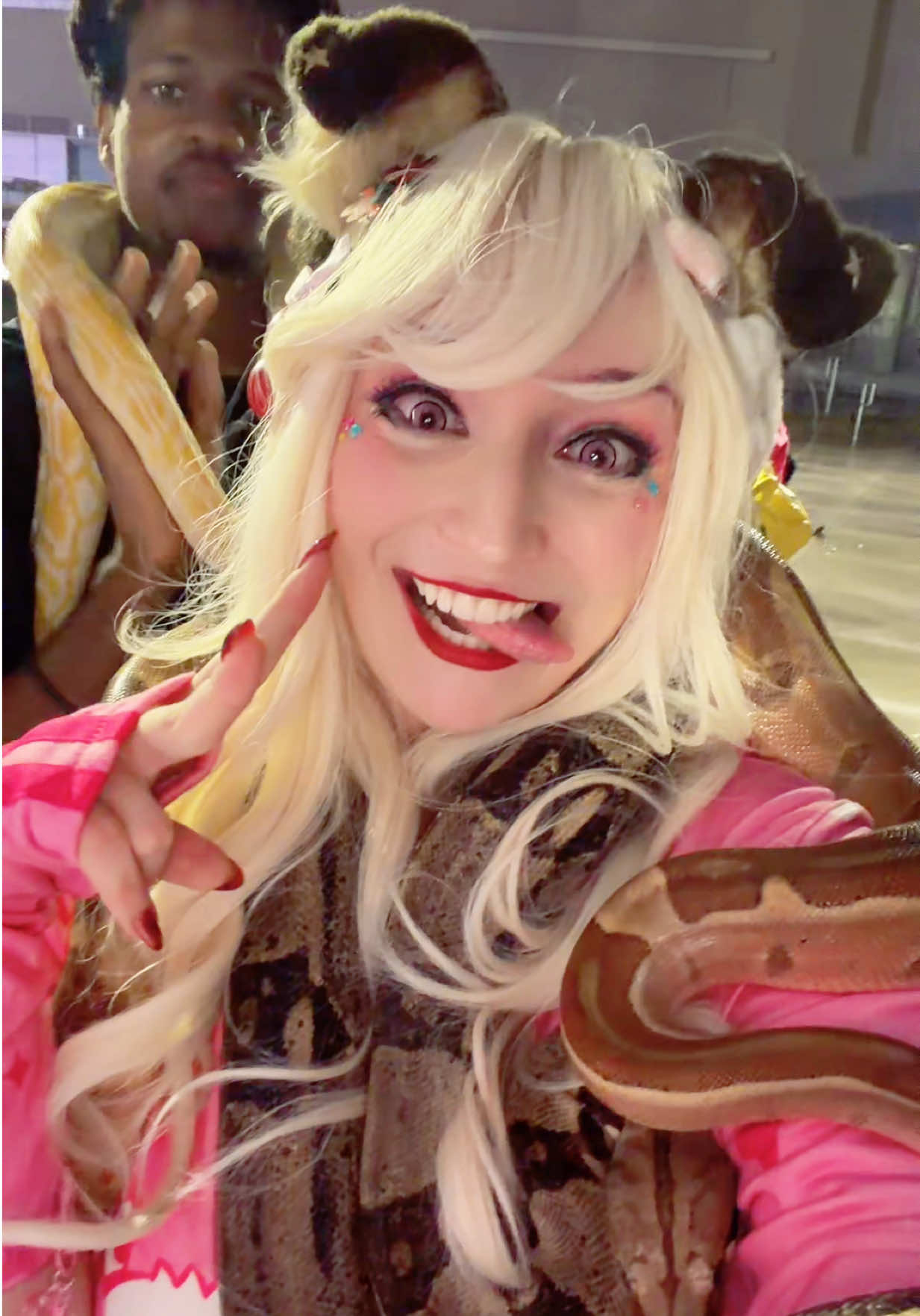 @stardere 🔜 momocon