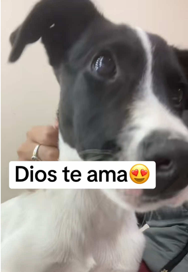 @rebecasalas8
