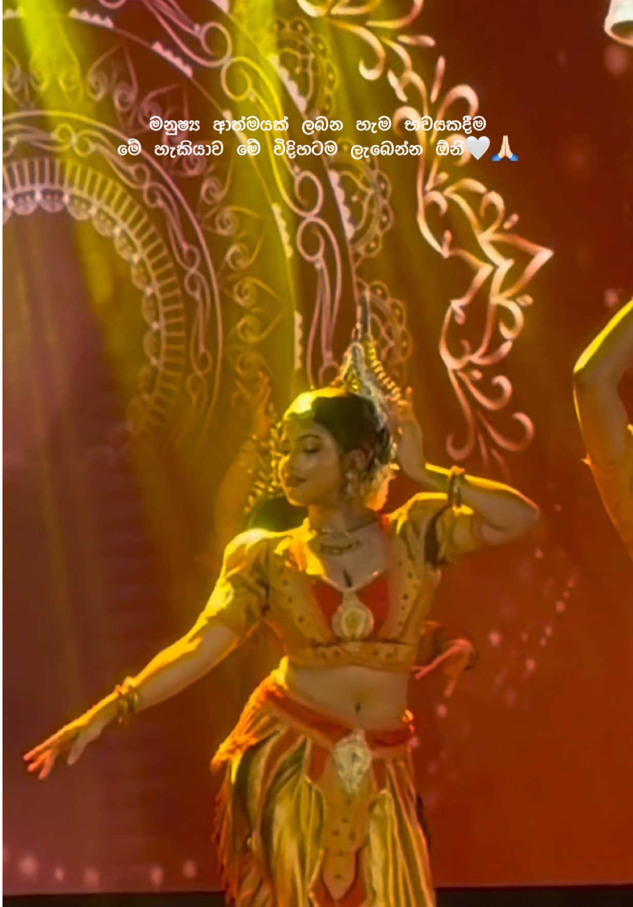 @Nethmi Sathsarani