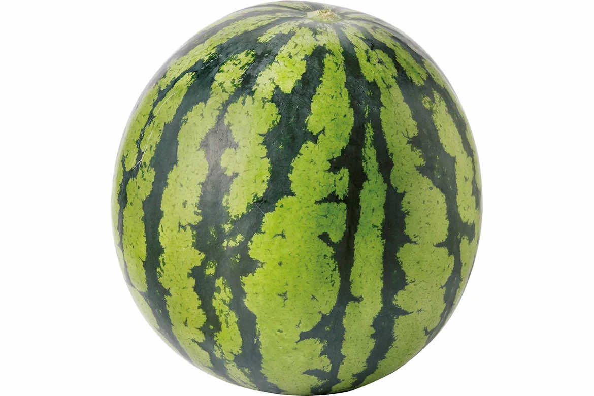 @快傑しいたけ丸