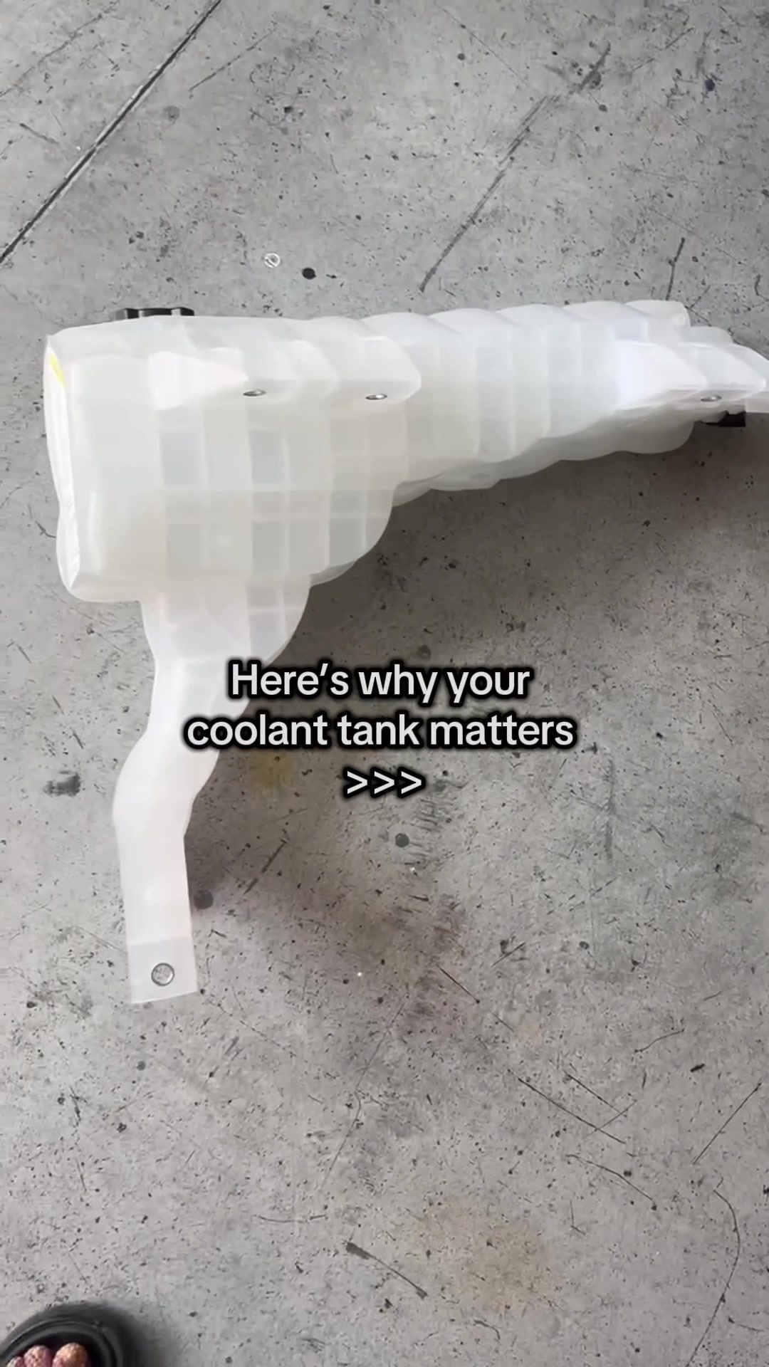 @SharkChromeShop
