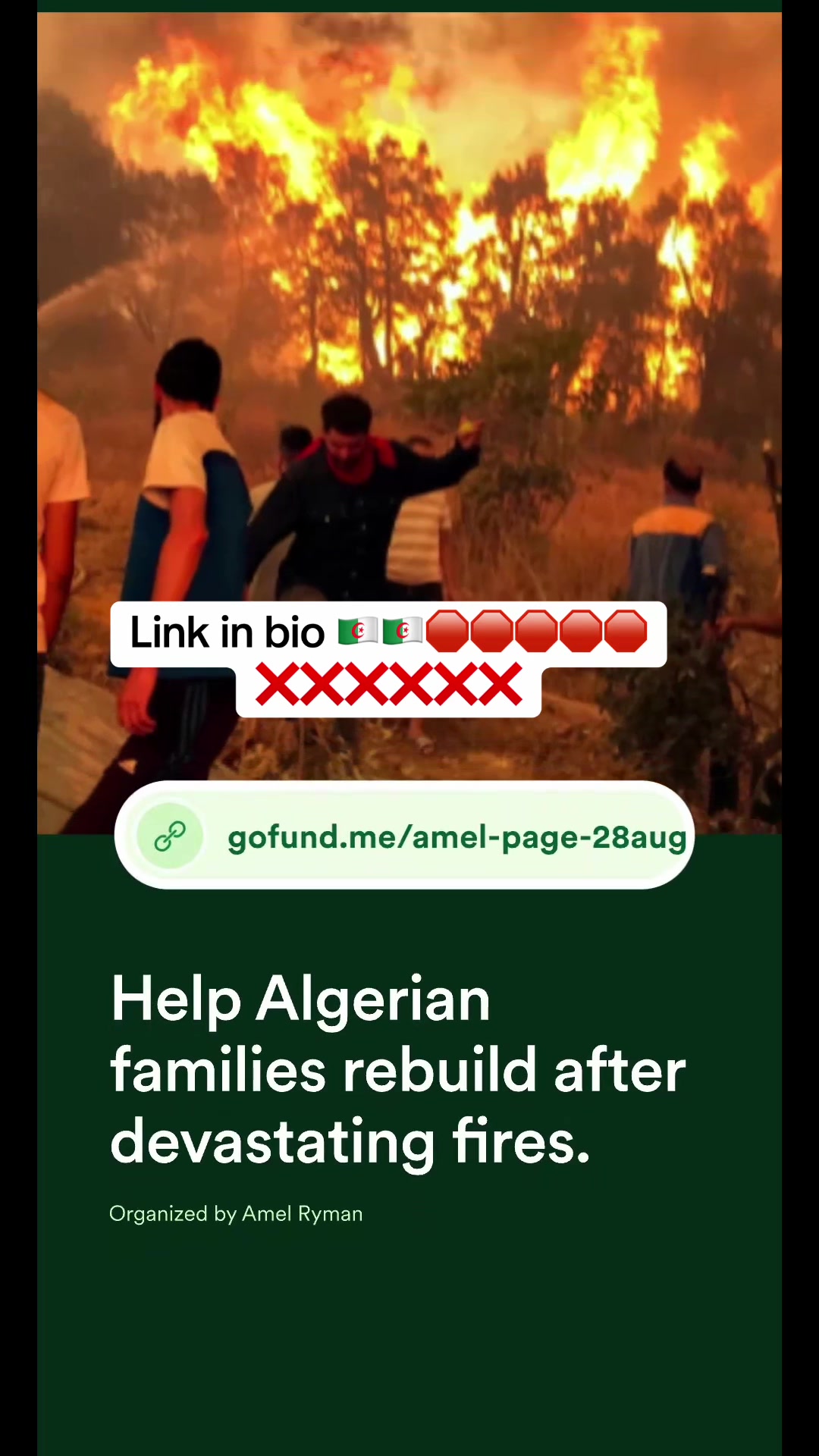 @🇩🇿 ⵣTanina_Tawaɣlist 🇺🇲