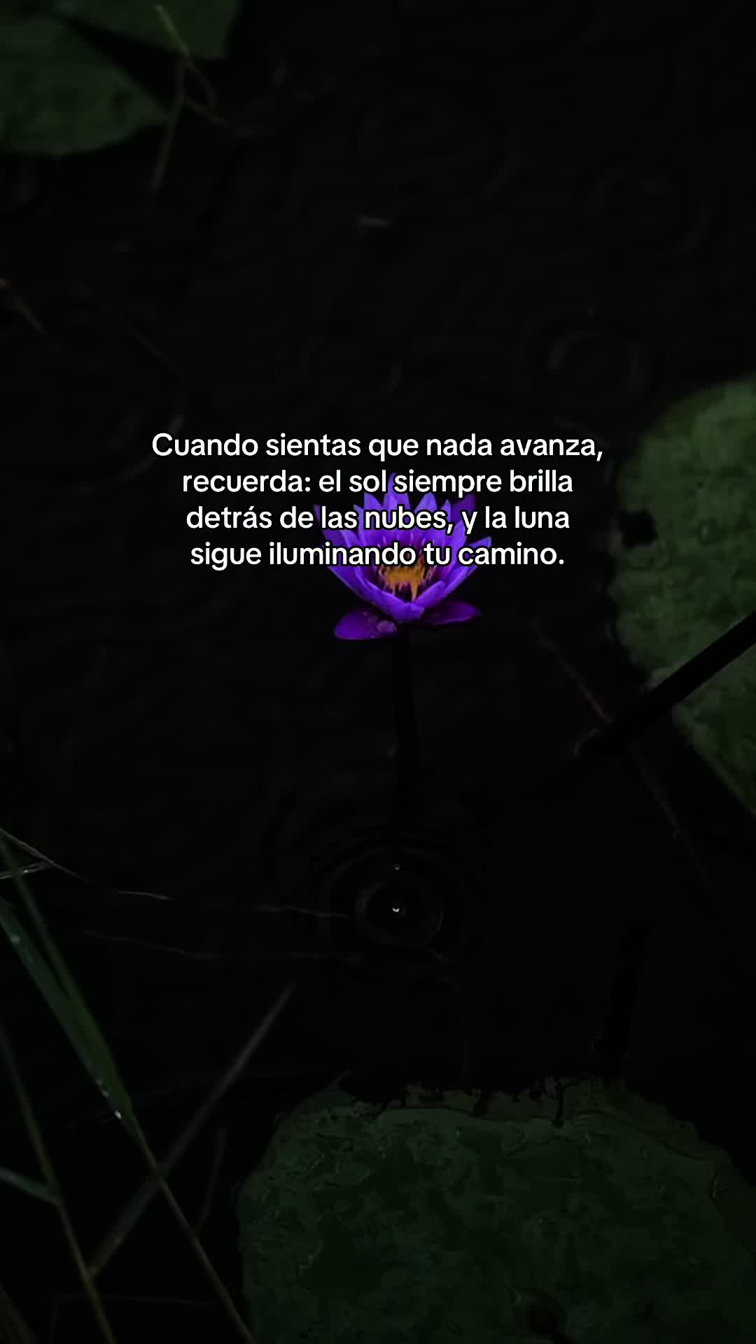 @Liliana Merino