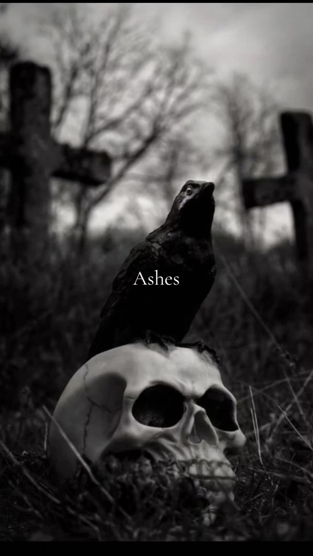 @🖤 EMPRESS 🖤
