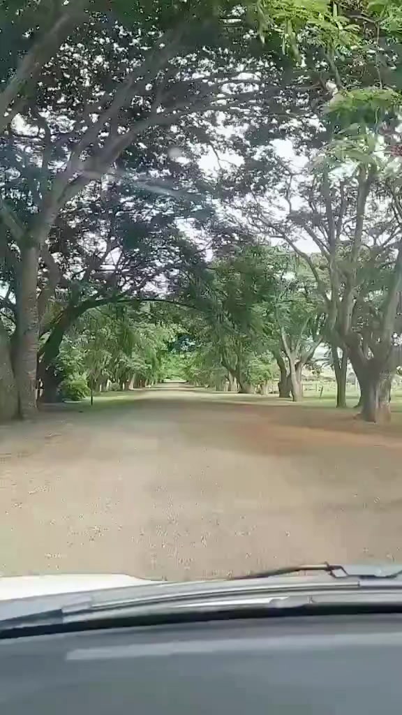 @anaguerra4275