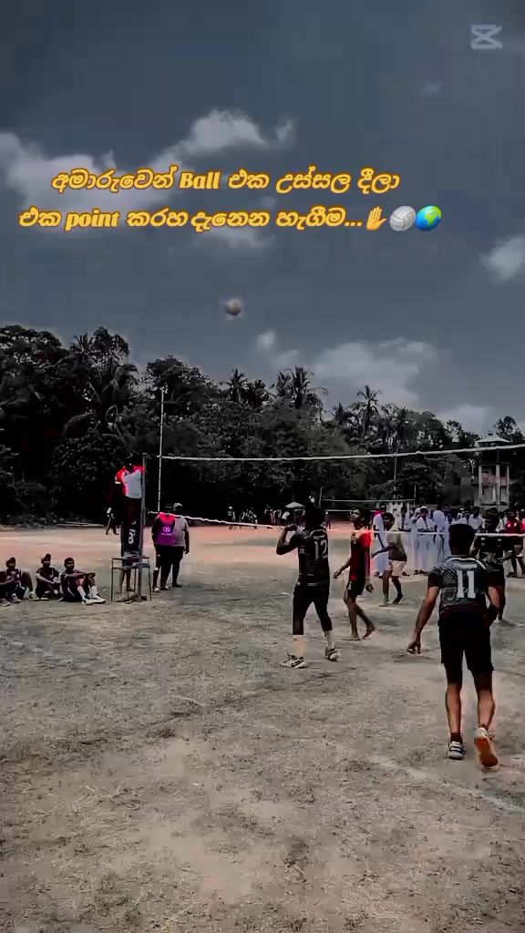 @volleyball paradise ❤️