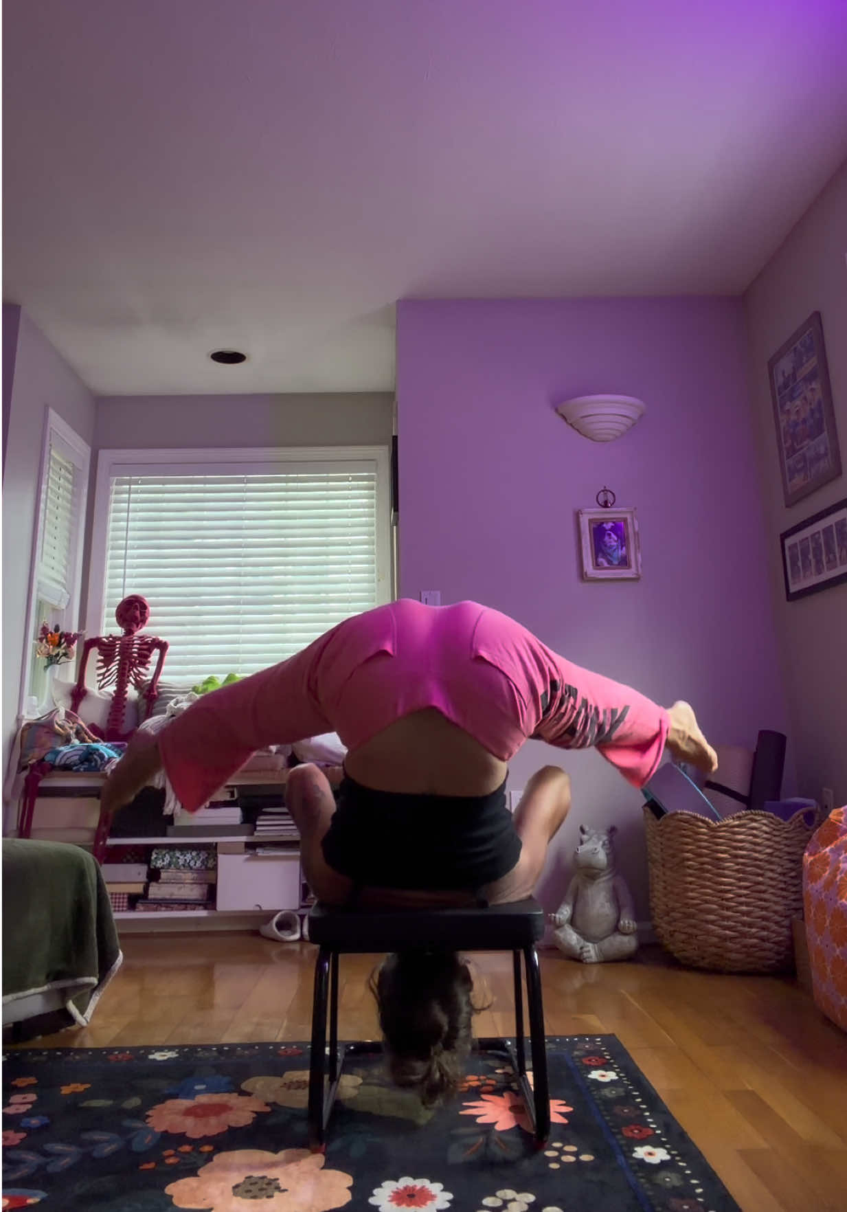 @gardengirl8440