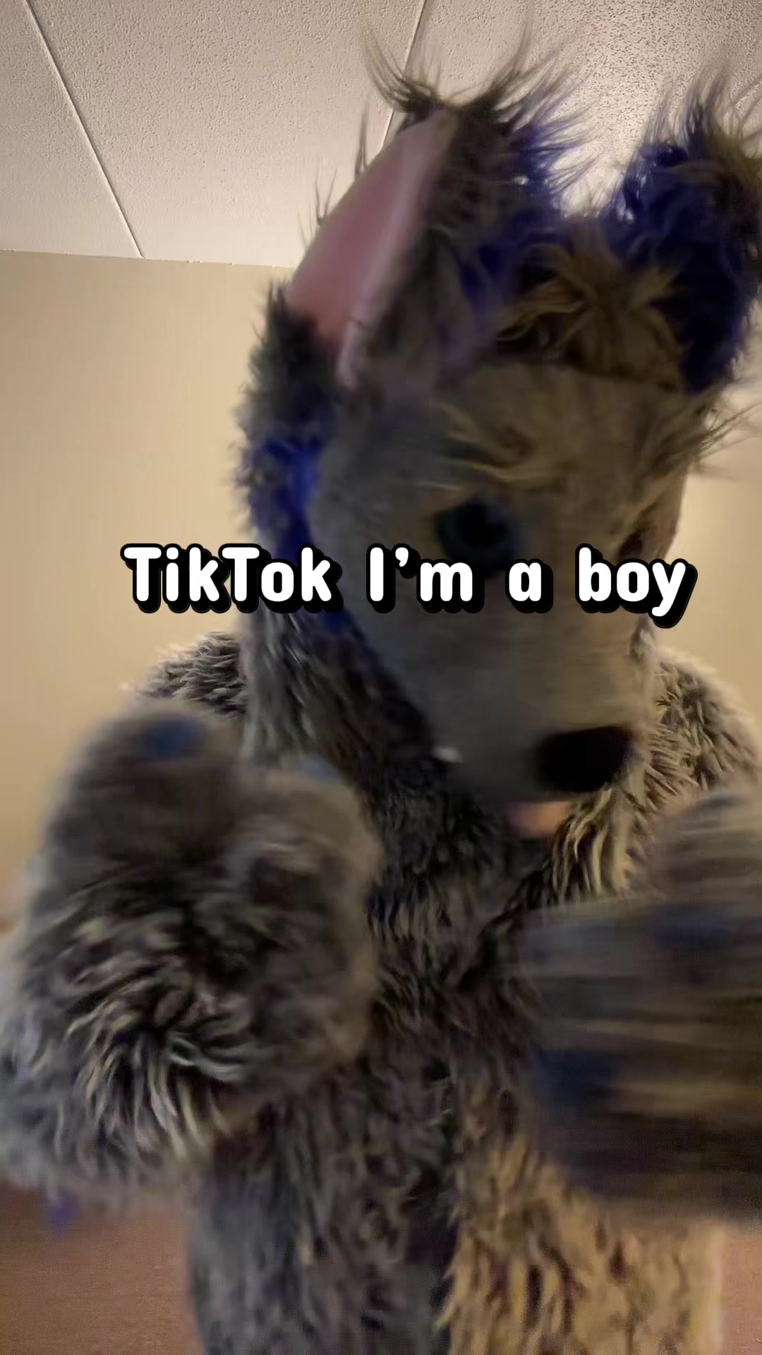 @ph0toshoot