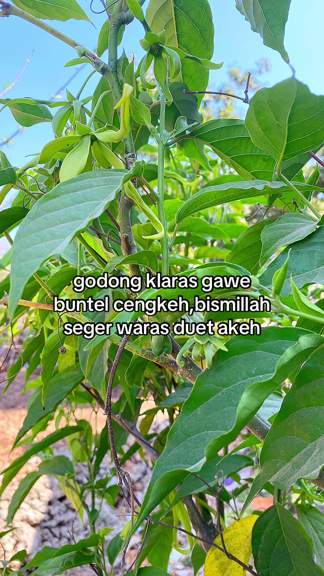 @Doni Setiawan