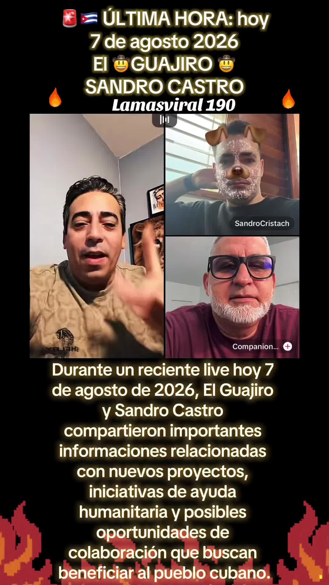@🚨🚨LAMASVIRAL 190🚨🚨