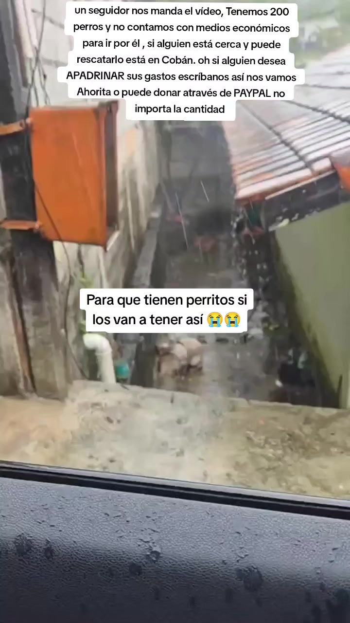 @Asoc. Peluditos