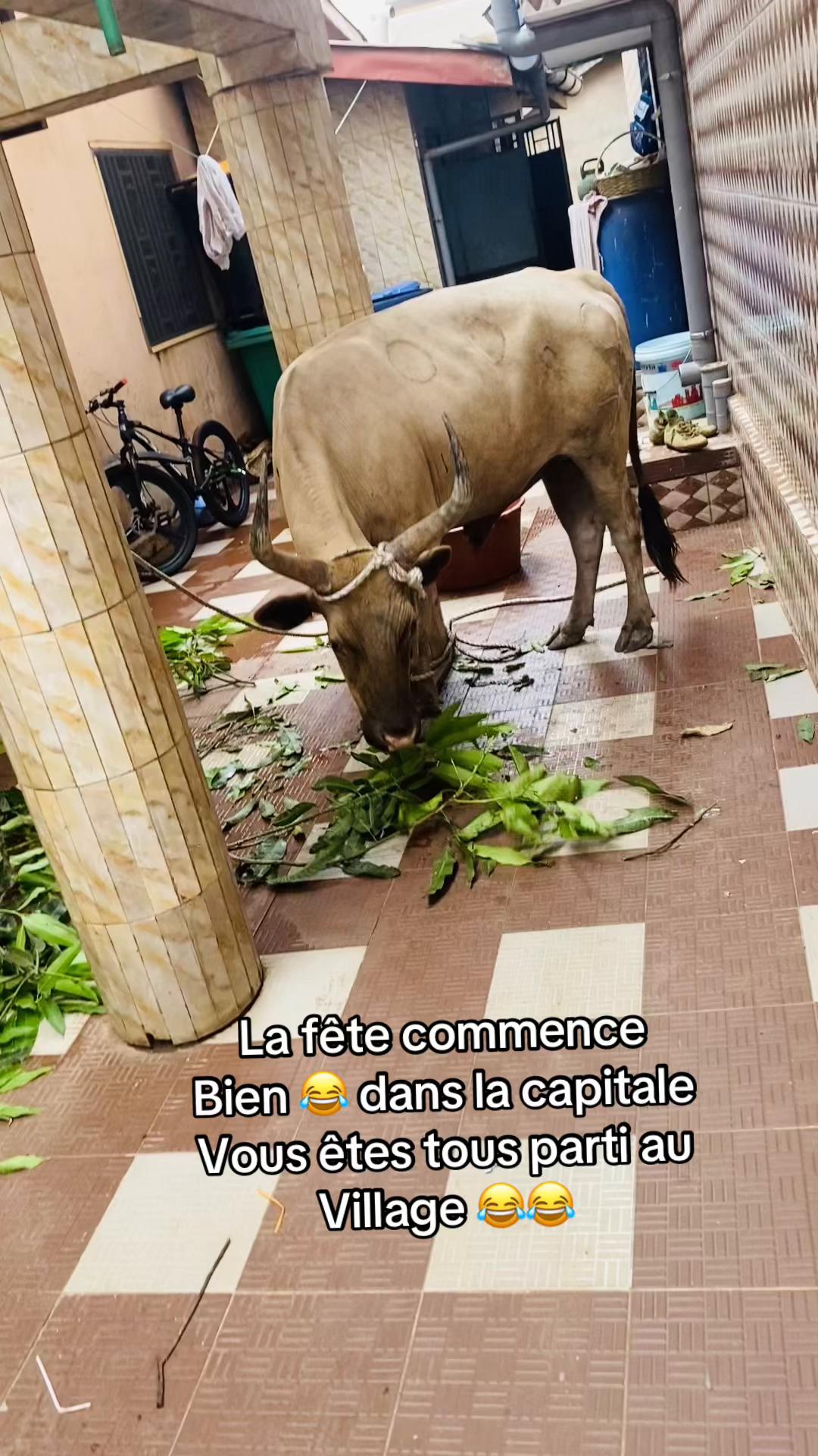 @Usmane🩶💔