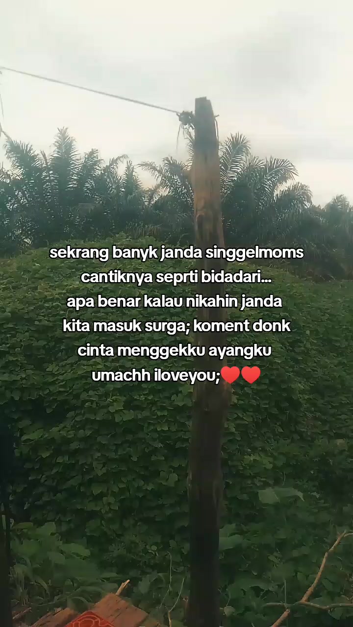 @KEDE 🥀UJUNG 23..