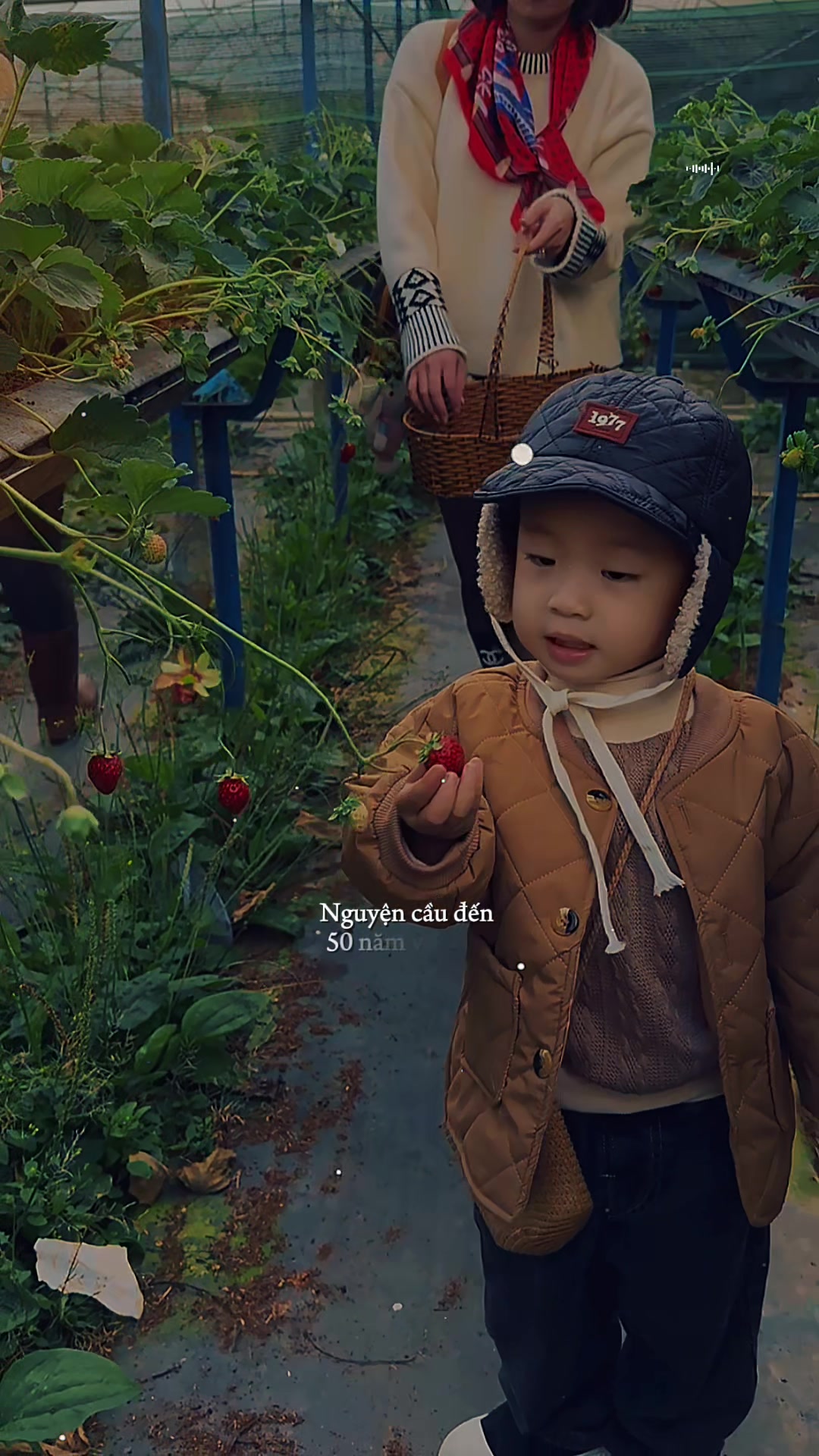 @Phạm Tiến Lộc