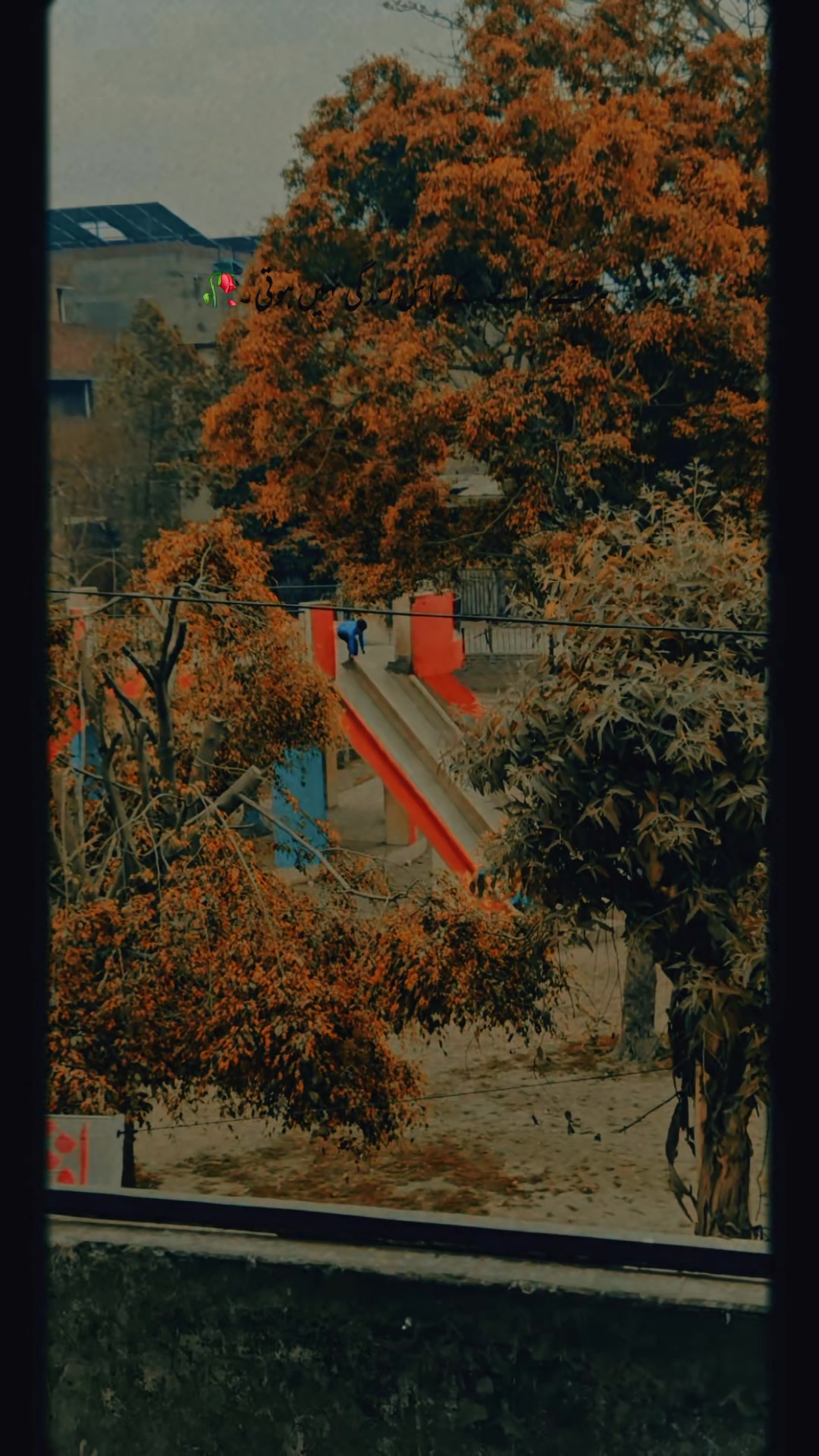 @rehan  ali