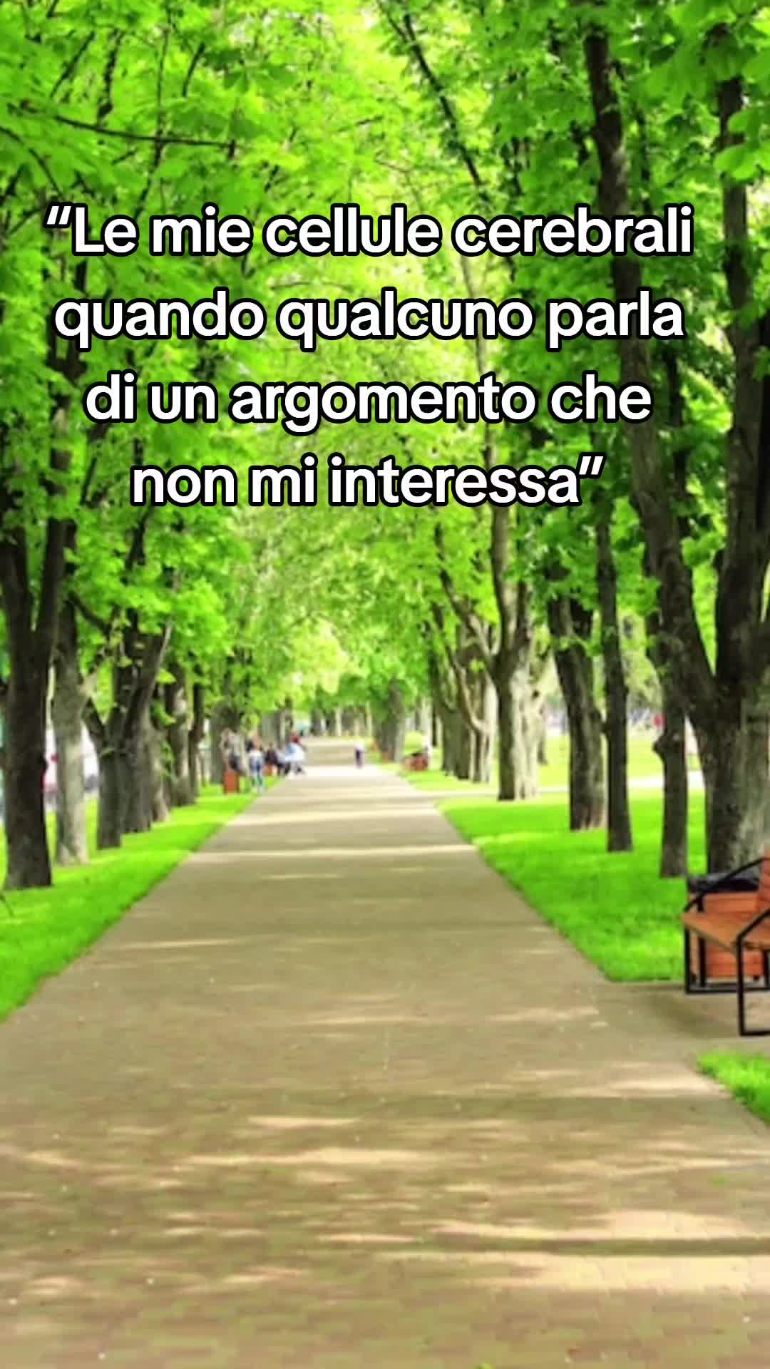 @Stefano Cr80