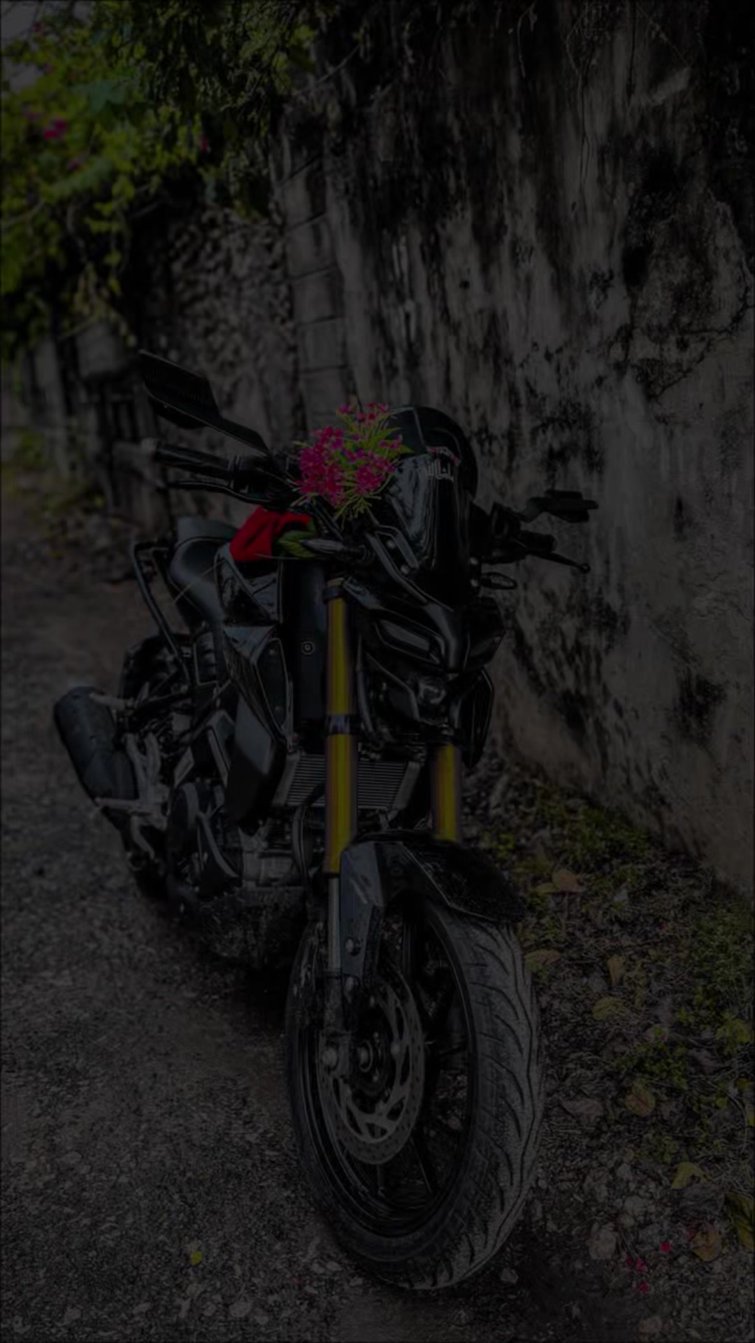 @🍒🪽𝑴𝒓.𝑺𝒂𝒎𝒎𝒖🦋🕊️
