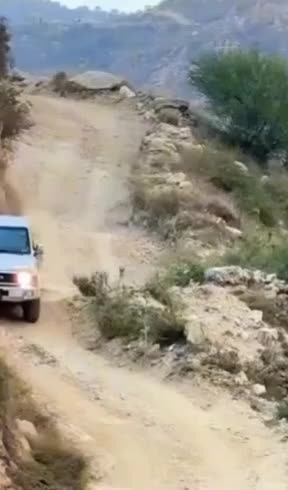 @tariqasururi