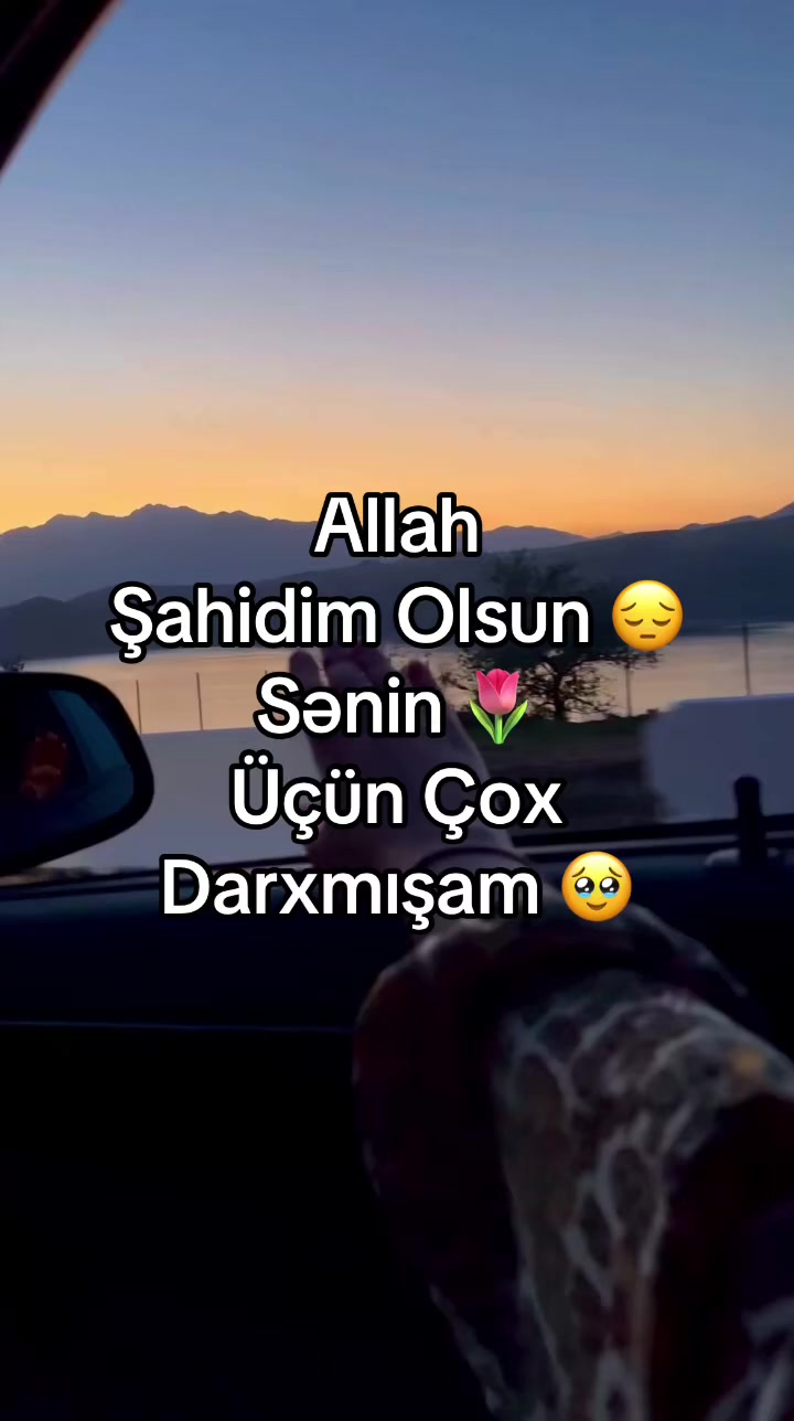 @🤍AYSUN🦀