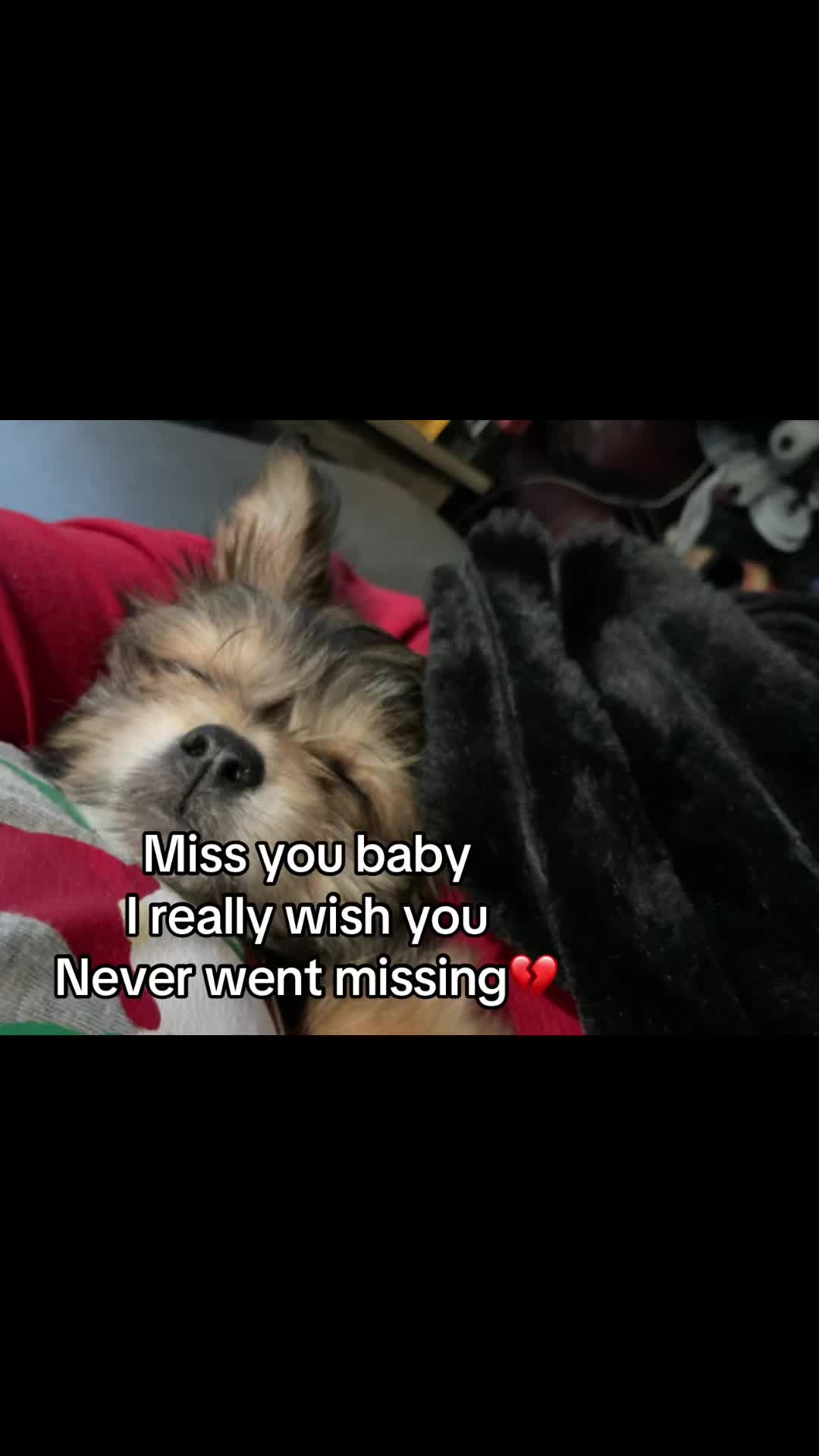 @Cami