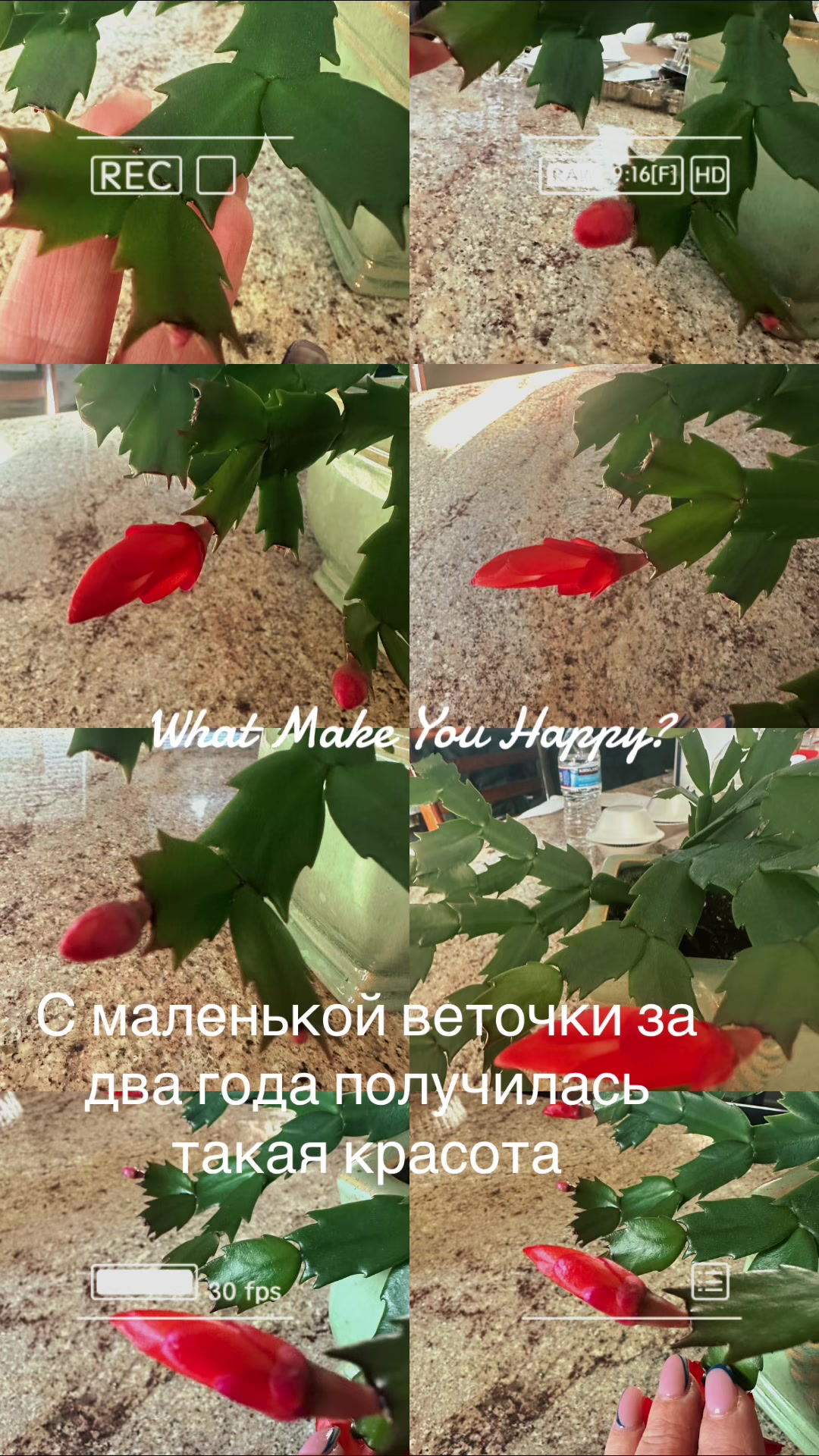 @hannamakarova3