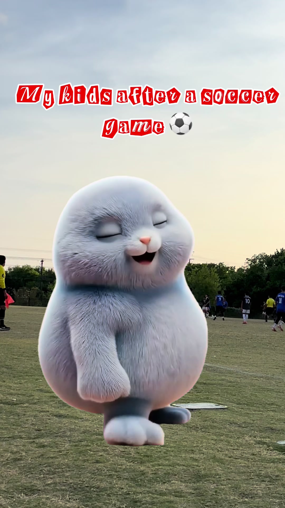 @IMK-Soccer Mom