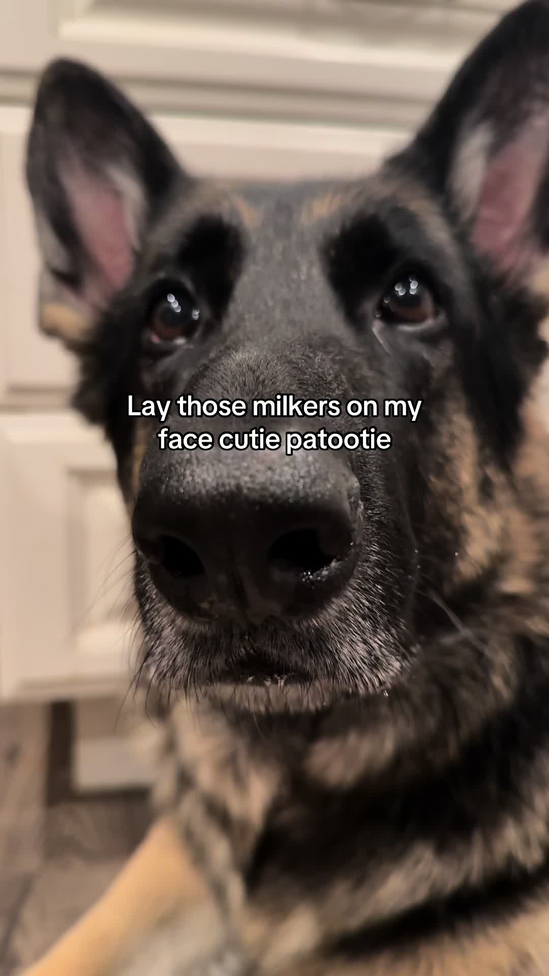 @Bhris
