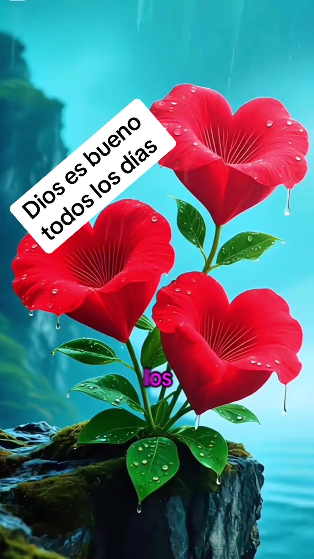 @Vivir & Amar