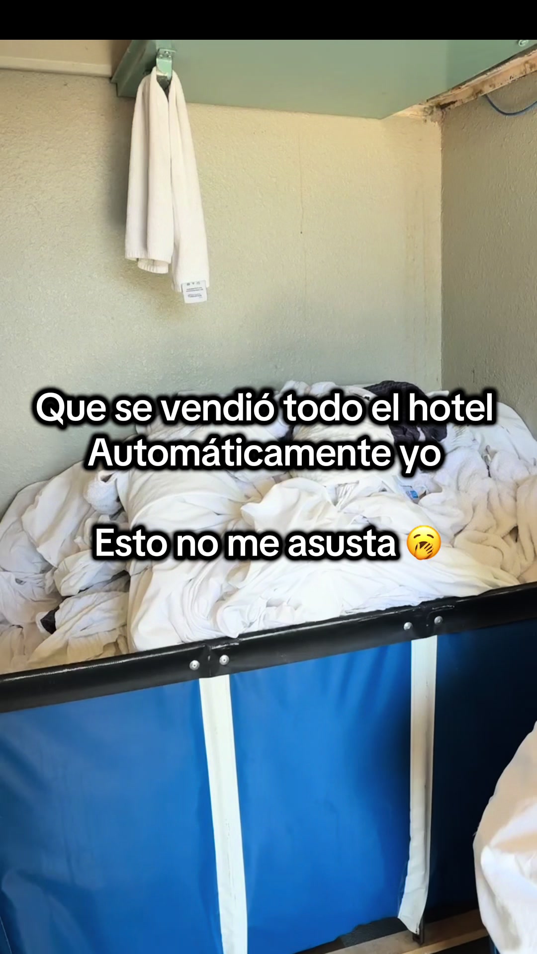 @Daniela Gallardo