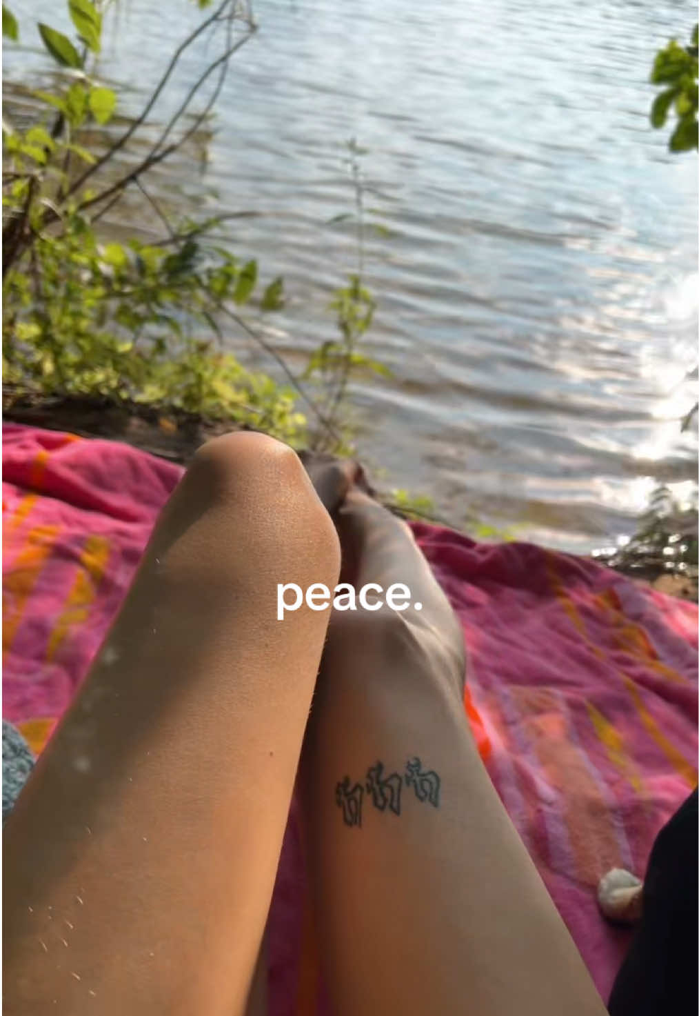 @ashleigh 🦋🧚🏼&zwj;♀️🧿🫧🌀⁴⁴⁴