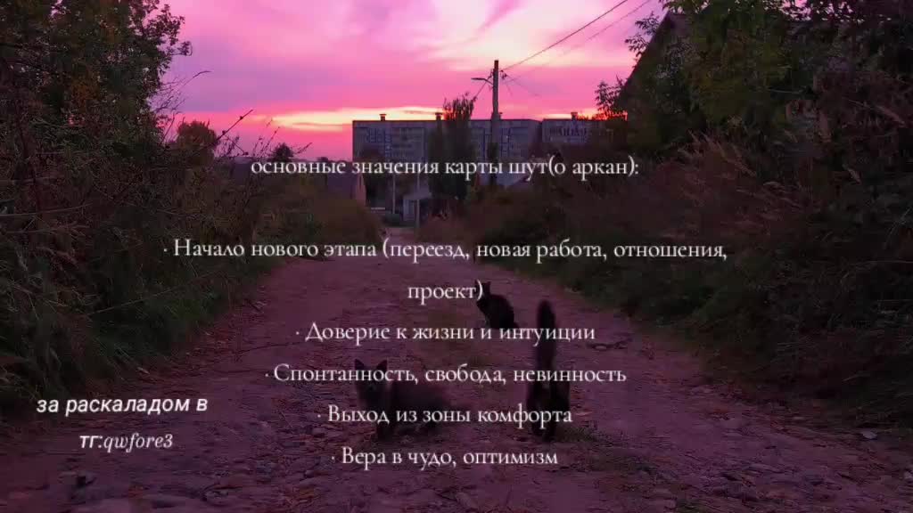 @tarooo_333