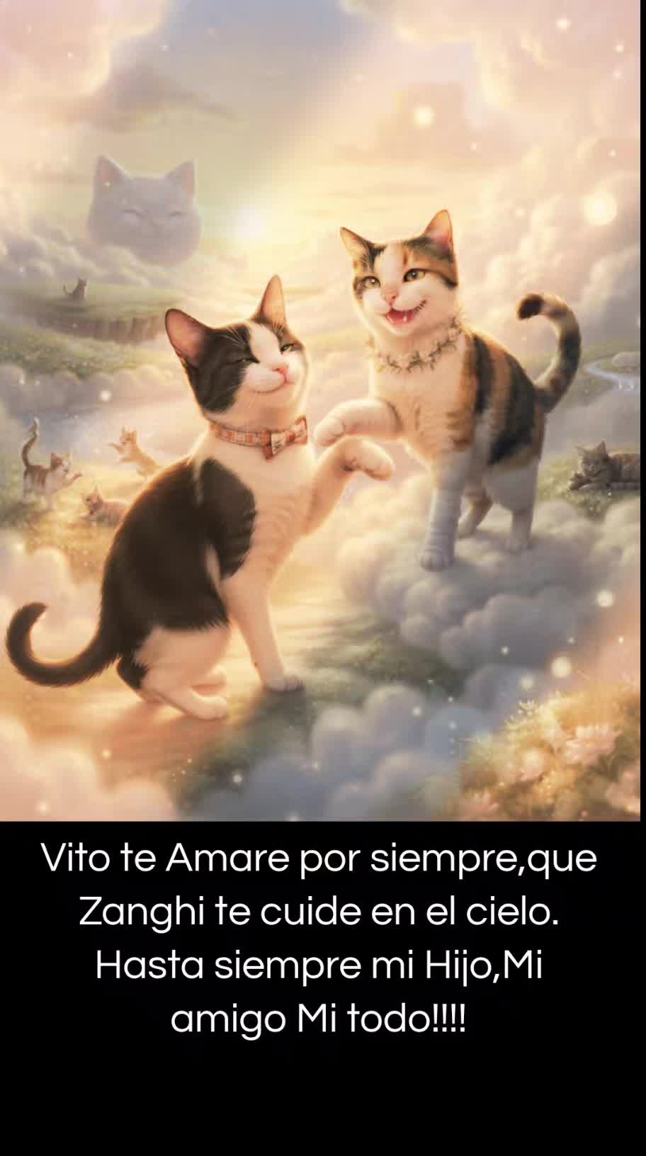 @Gato Cin&eacute;filo Oficial