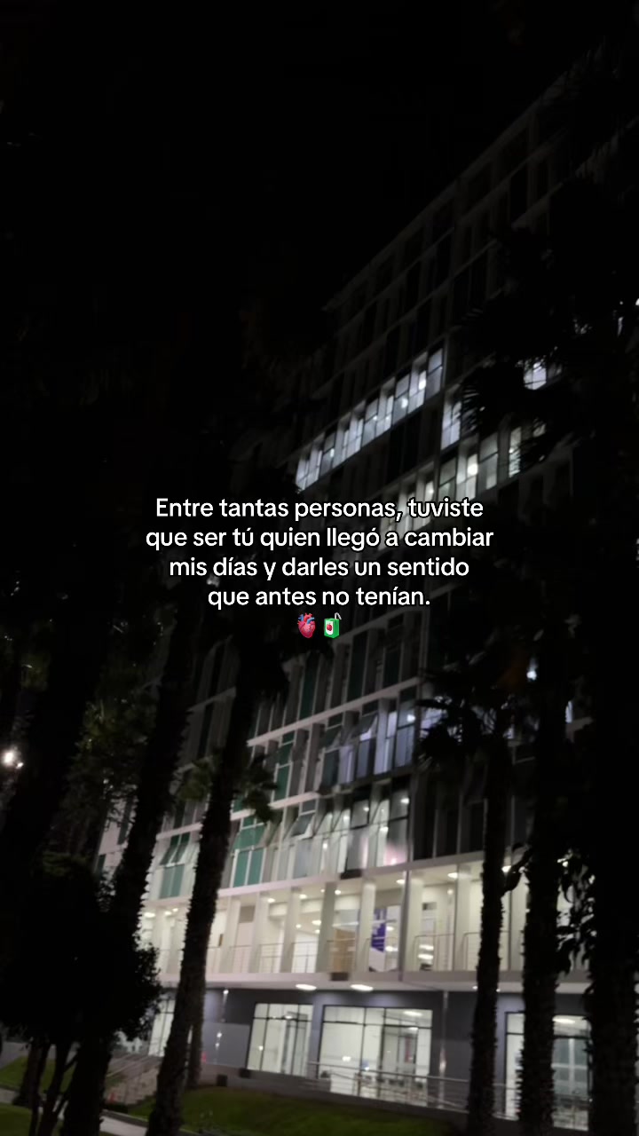 @Gatocix 🐱